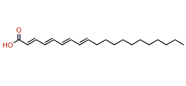 Eicosatetraenoic acid